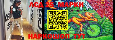 стафф Новодвинск