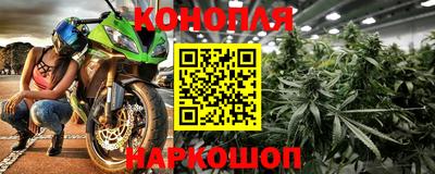 стафф Новодвинск