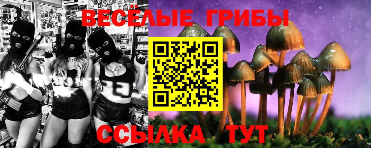 Галлюциногенные грибы мицелий  Вход с VPN  Свободный 